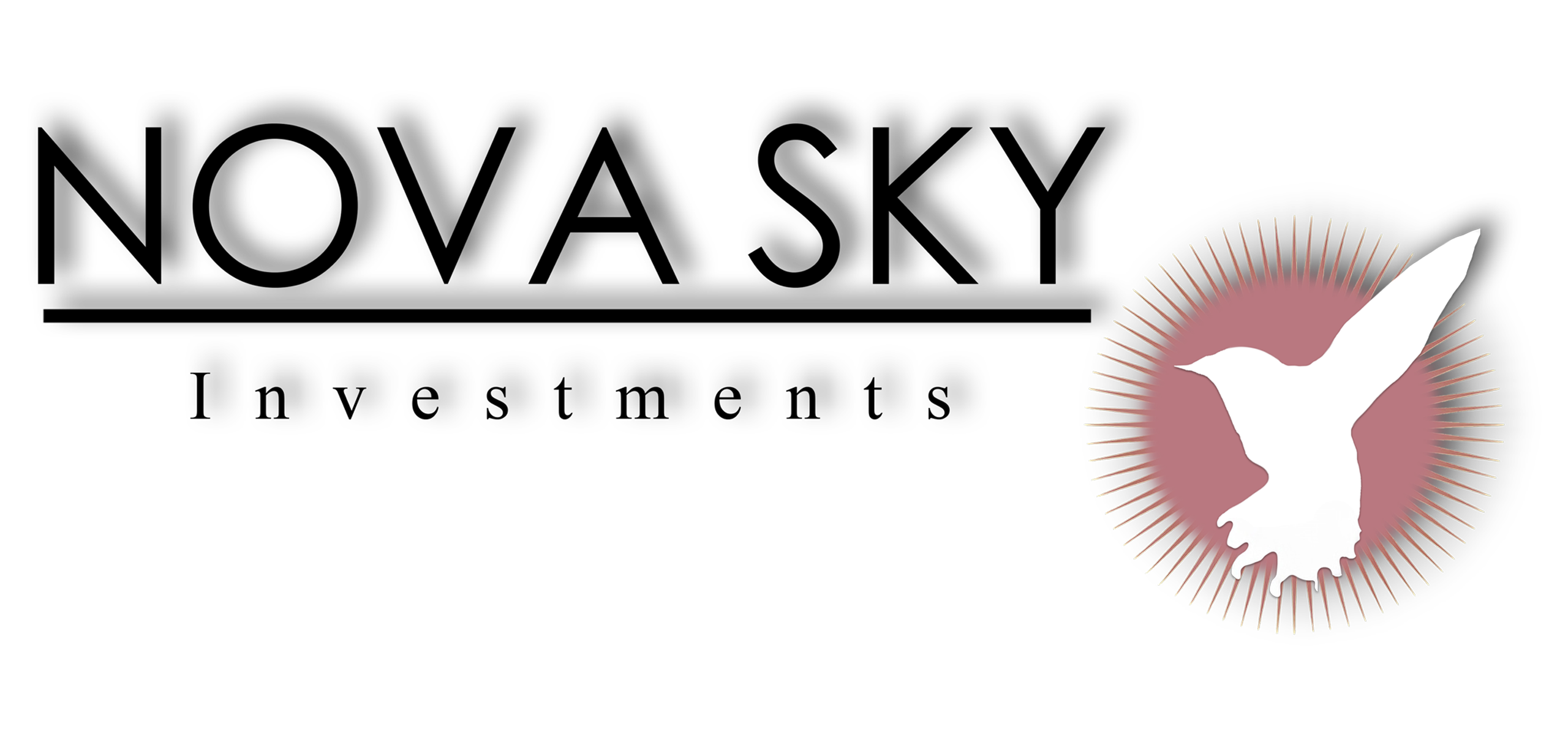 Services @ Nova Sky Investments, LLC.